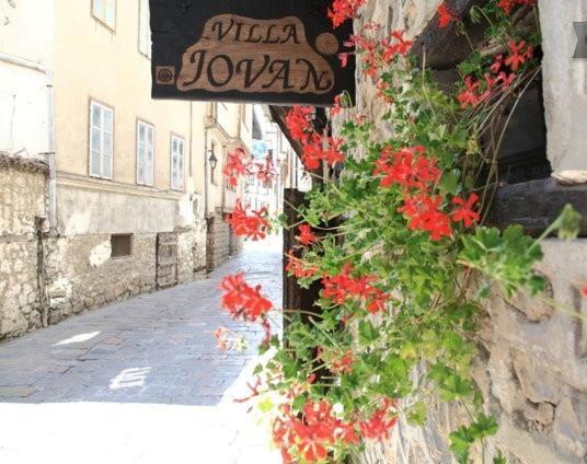 Villa Jovan Ohrid Exterior photo